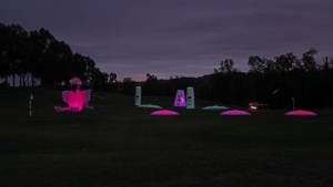 Read more about the article 2022 Goodr Flamingo Open – Smart Target Golf Mobile Target Event